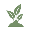 Cultivate Icon